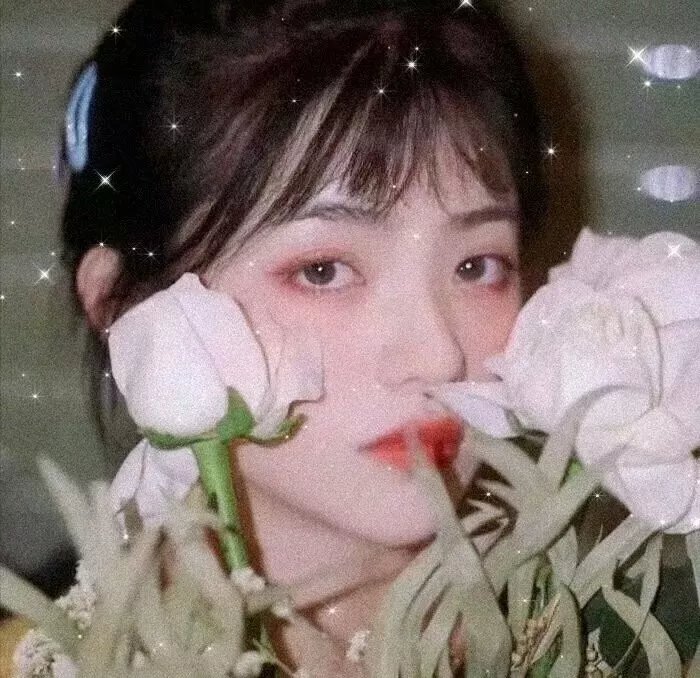 四朵花之家 在线观看